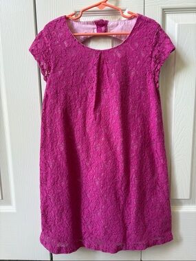 Gymboree Girls Fuchsia Lace Cap-Sleeve Dress (Size 8)